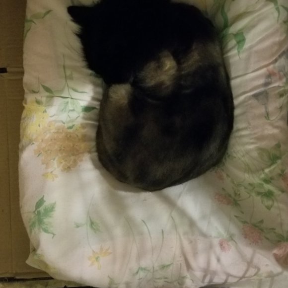 When u miss someone or something ♥️♥️ - Picture 3 of 9